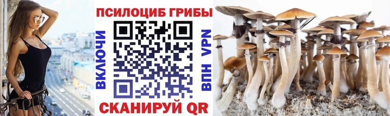Галлюциногенные грибы Magic Shrooms  Тутаев 