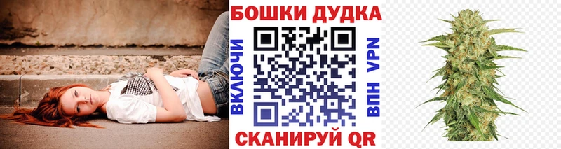 где продают   Тутаев  Марихуана сатива 